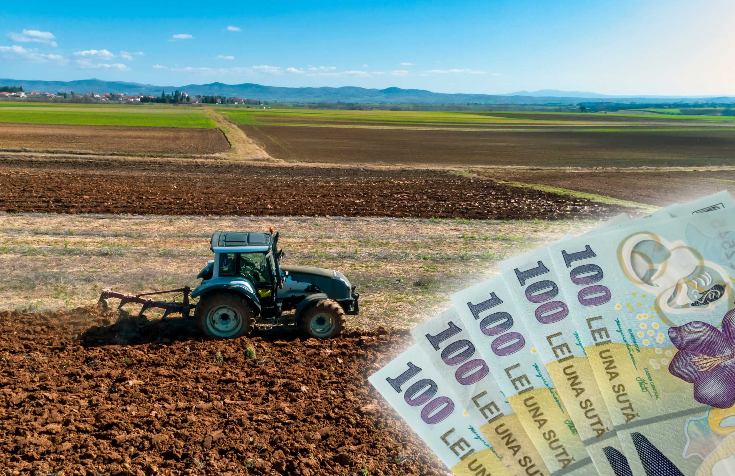 Întârzieri în plata subvențiilor APIA: Probleme tehnice blochează banii pentru fermieri