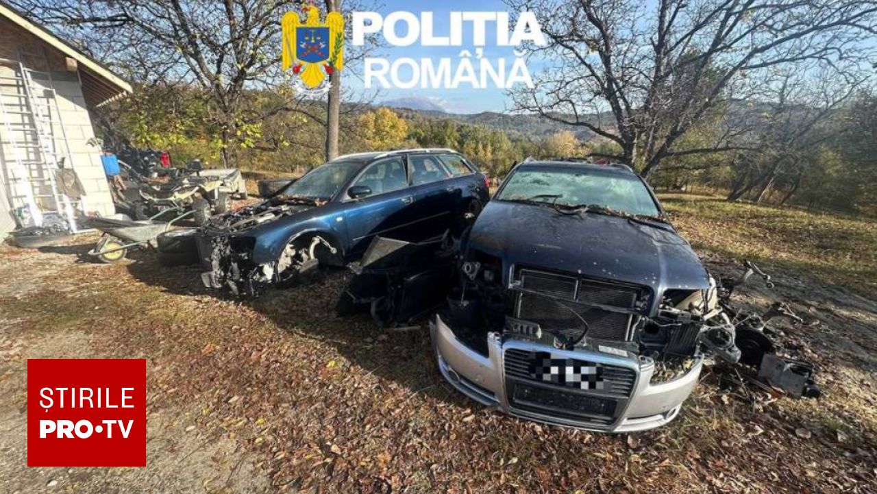 Centru ilegal de dezmembrări descoperit în Vâlcea: 12 tone de deșeuri și 12 mașini găsite de poliție