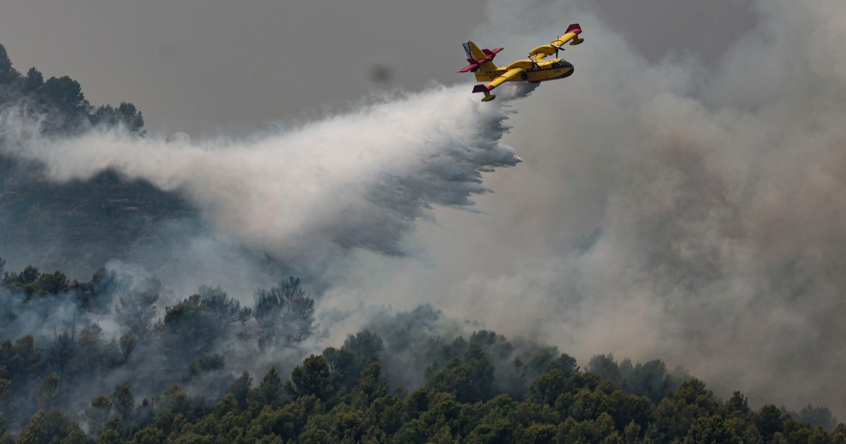Abandonarea terenurilor rurale alimentează incendiile devastatoare din Europa
