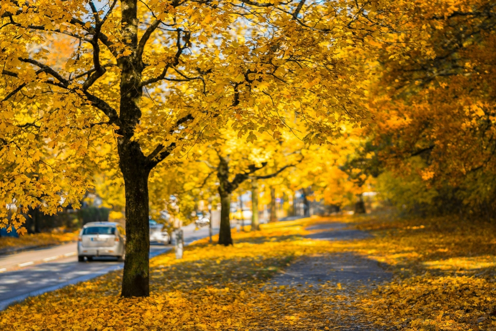Prognoza meteo pentru începutul lunii noiembrie: temperaturile vor scădea sub mediile obișnuite