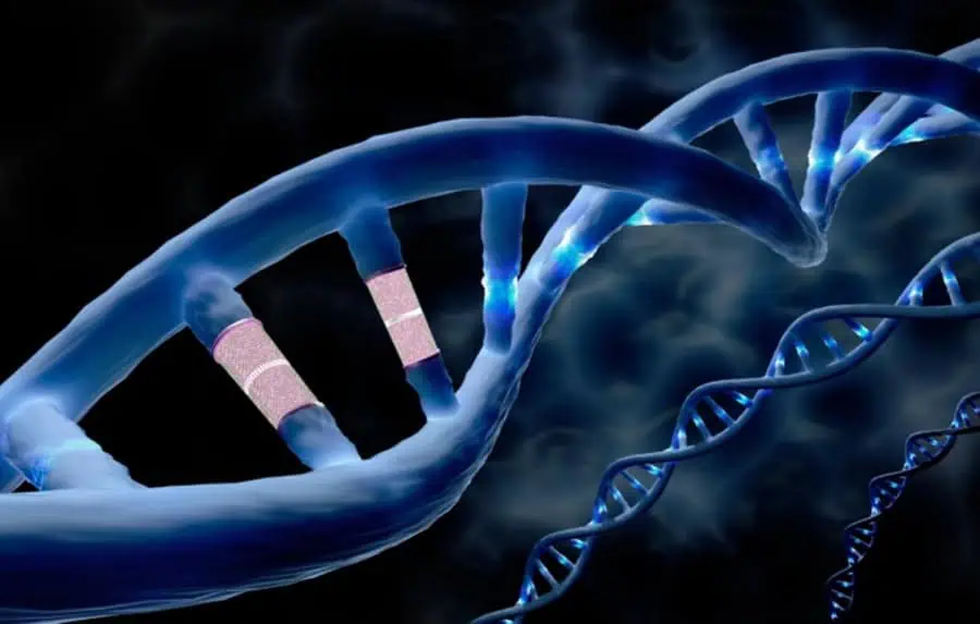 Primul caz de editare genetică in vivo: o metodă care poate reduce costurile tratamentelor medicale