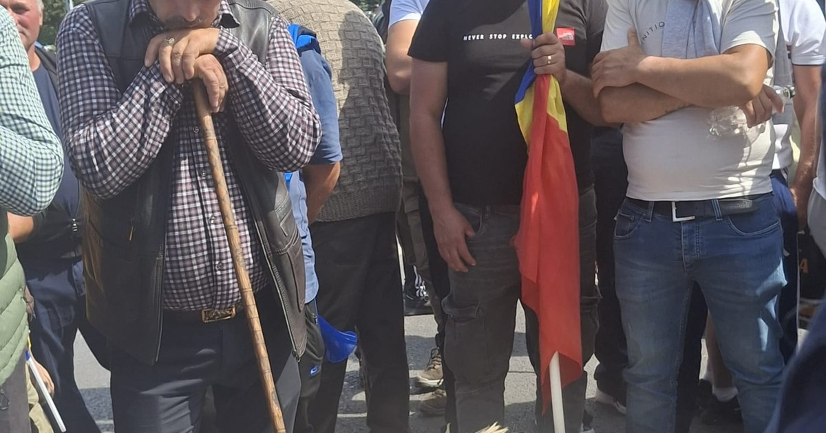 Criza sectorului ovin din România: Protestele fermierilor rămân fără soluții concrete