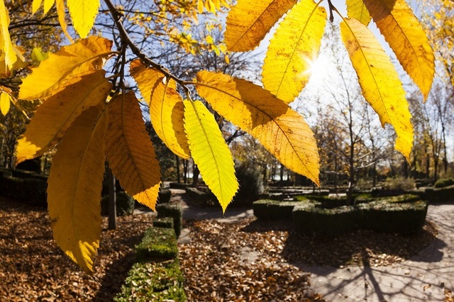 Prognoza ANM pentru octombrie: temperaturi peste normal și ploi în est și sud-est