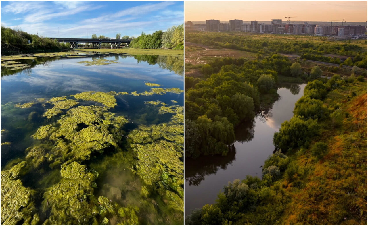 Valea Saulei devine a treia arie naturală protejată din București. Zona cuprinde peste 80 de specii de păsări