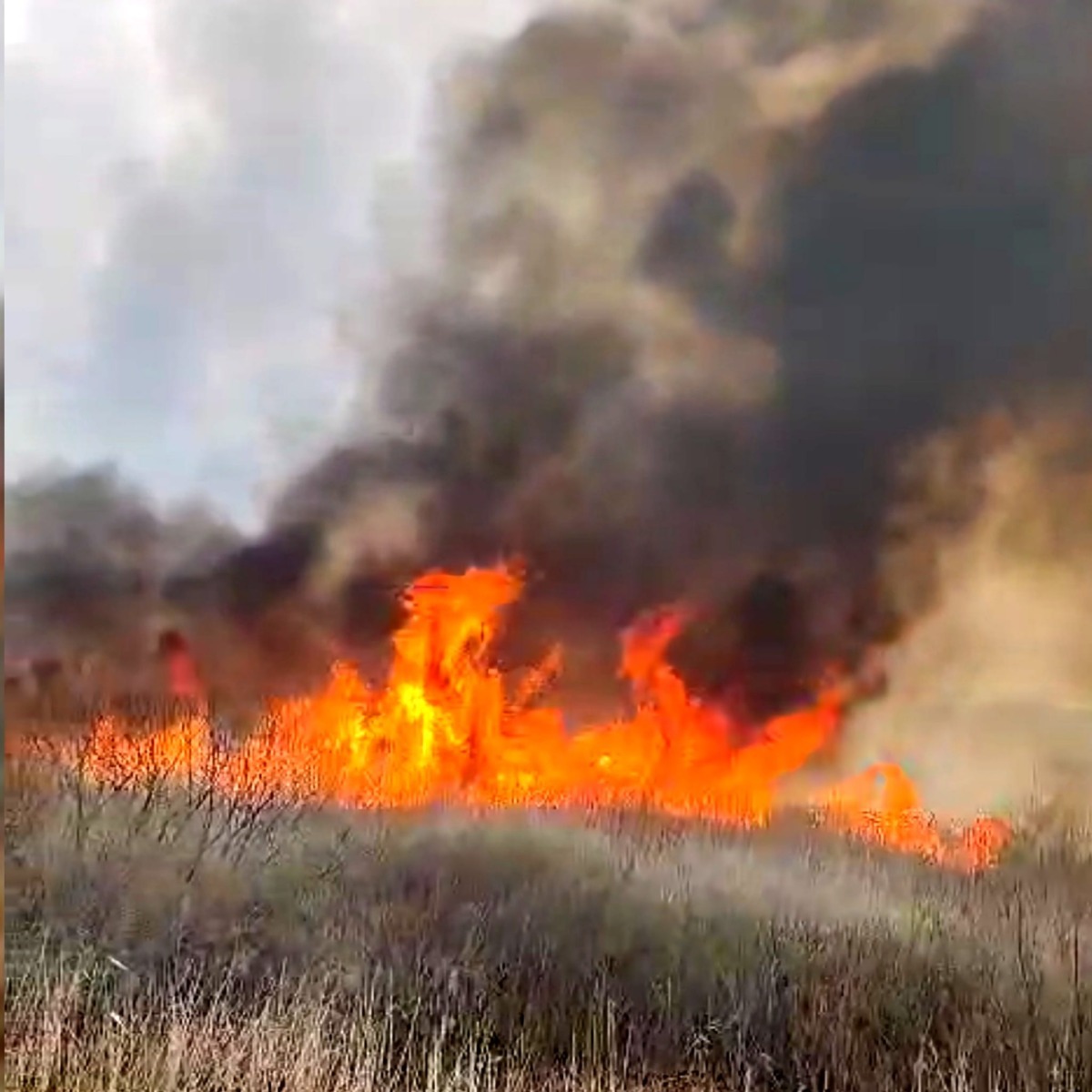 Impactul incendiilor de vegetație asupra energiei solare: producția poate scădea cu până la 70%