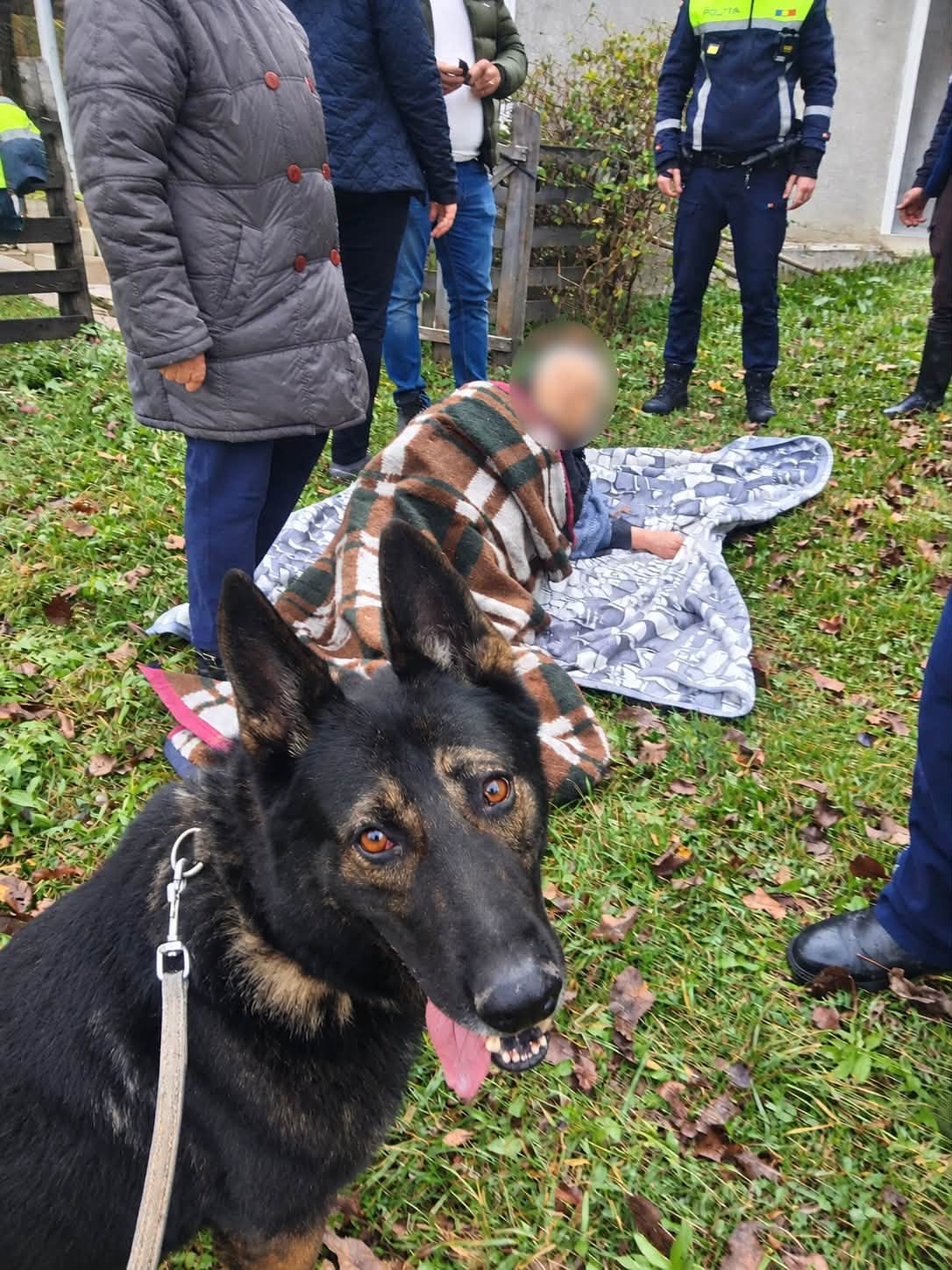 O femeie de 81 de ani a fost găsită în pădure în județul Neamț, datorită unui câine de urmă