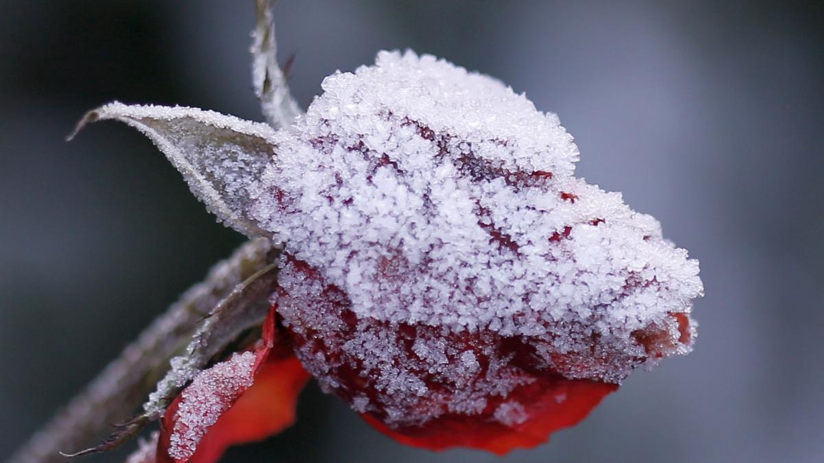 Vortex polar asupra României: Temperaturile vor scădea drastic în seconda parte a săptămânii