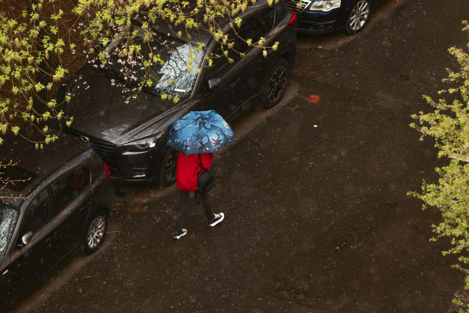 Prognoza meteorologică pentru București: temperaturi mai mici și cer noros încep de săptămâna viitoare