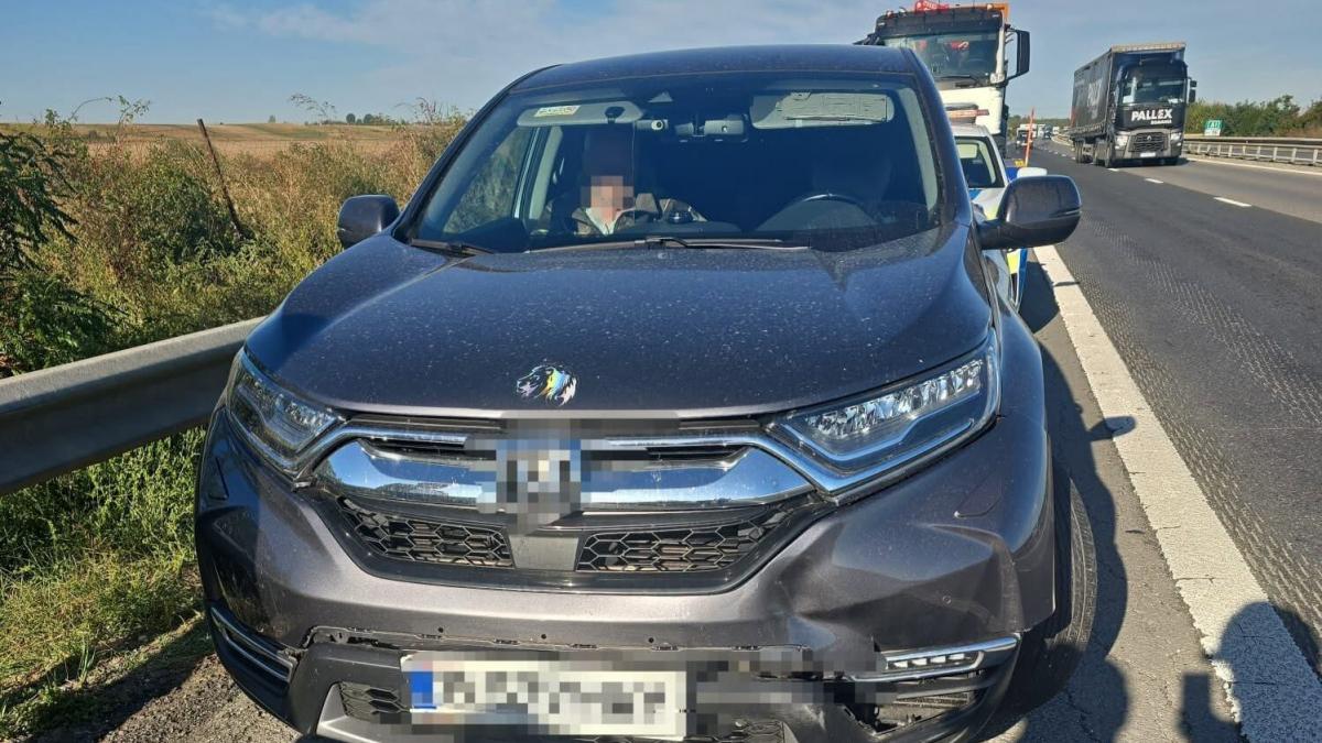 Accident neobișnuit pe autostrada A1: un autoturism a lovit un porc