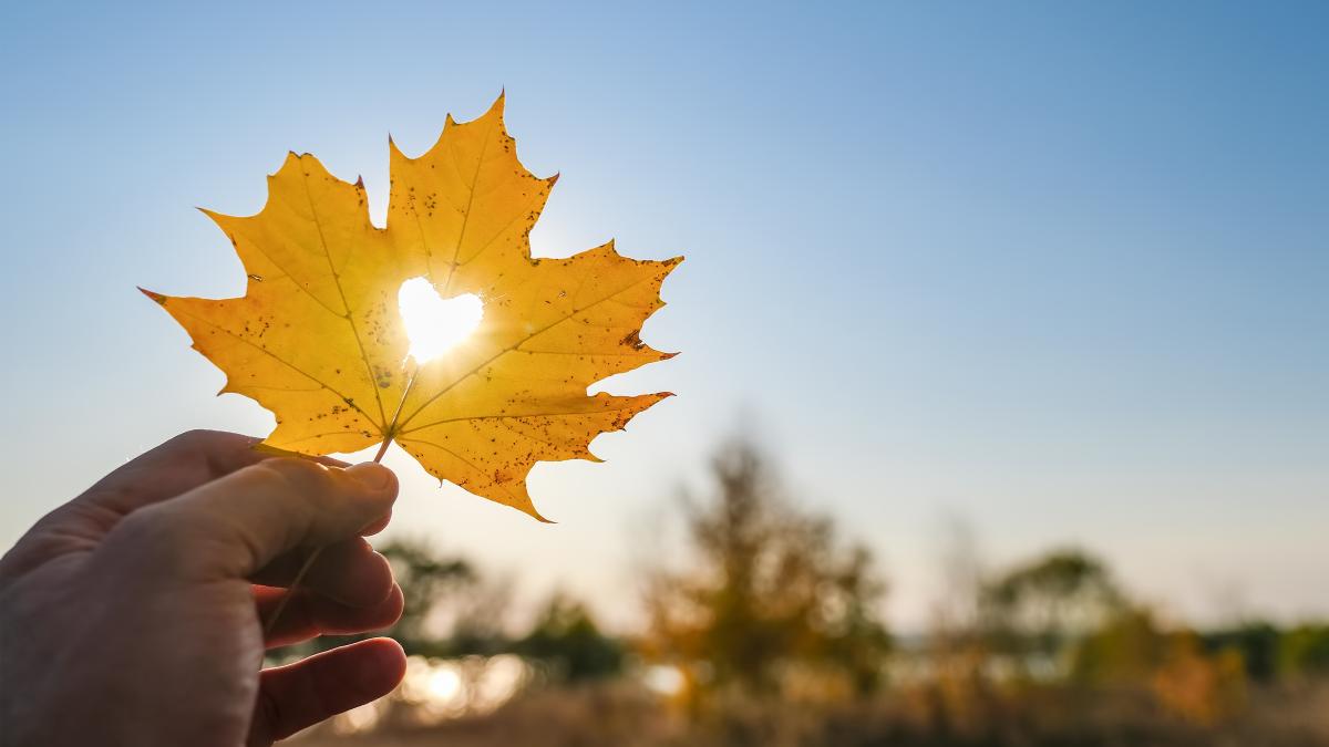 Vremea la finalul lunii septembrie: Temperaturile vor crește în weekend, dar apa de la mare se răcește