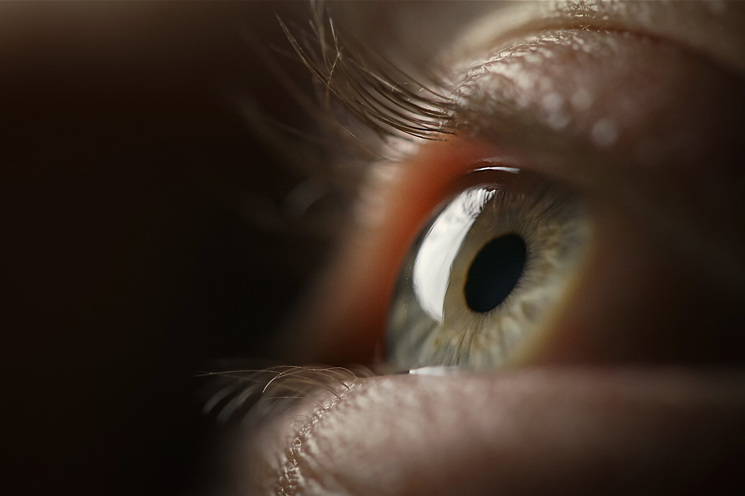 Scanarea retinei poate estima vârsta biologică a organismului cu o precizie ridicată