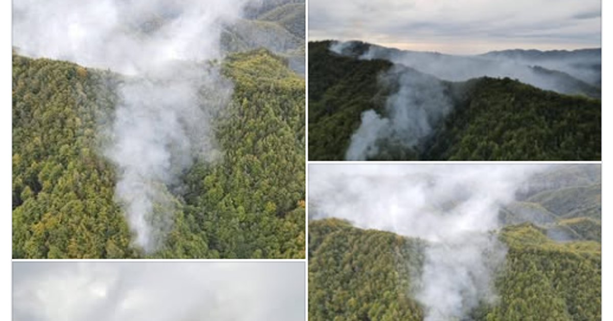 Incendiu de vegetație în Băile Olănești: 16 hectare de pădure sunt afectate de flăcări