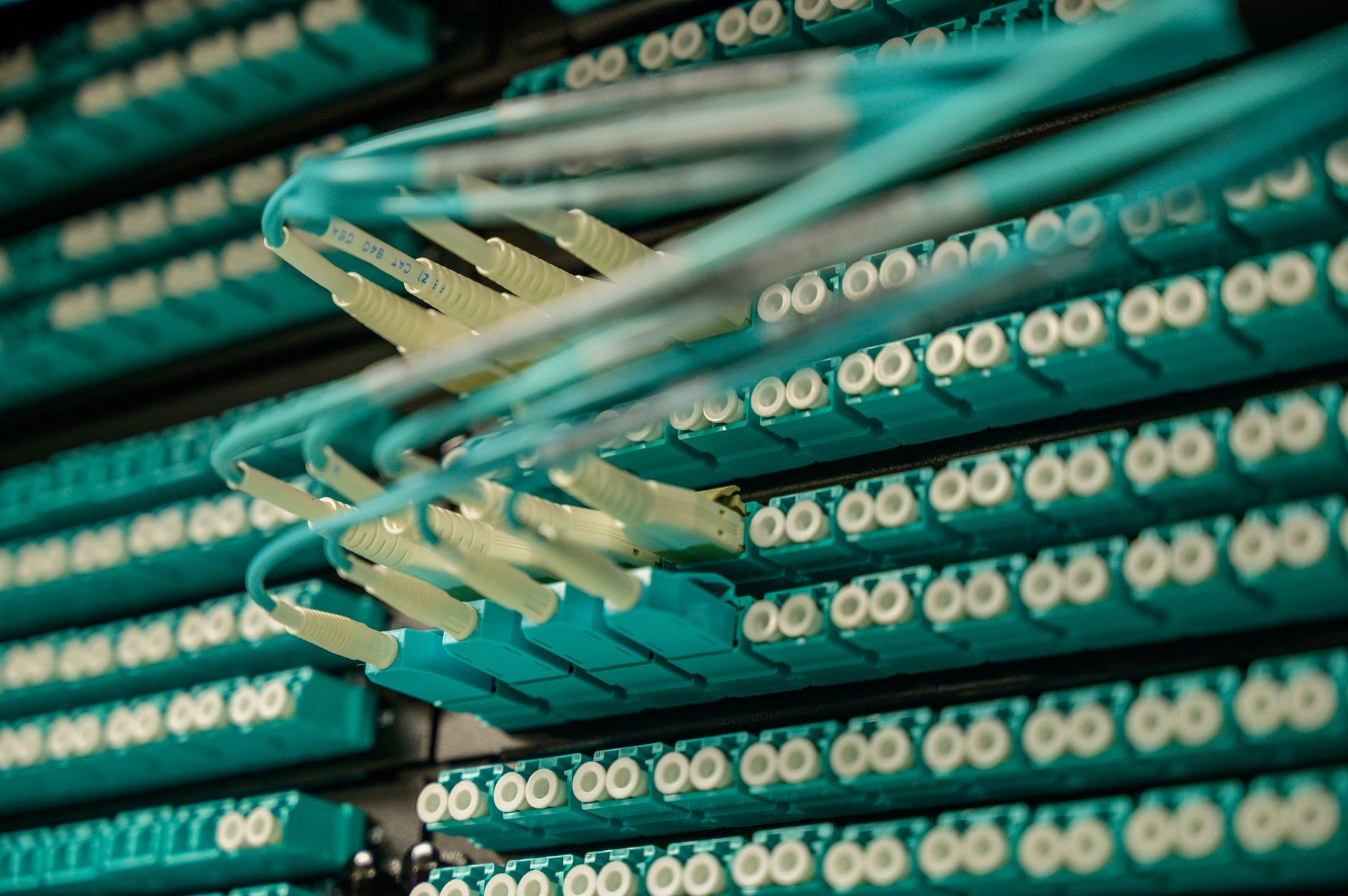 Explozie a investițiilor în Inteligența Artificială: cheltuielile companiilor au crescut cu 406%