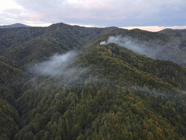 Incendiu de pădure în județul Vâlcea: 27 de hectare au fost afectate în Băile Olănești