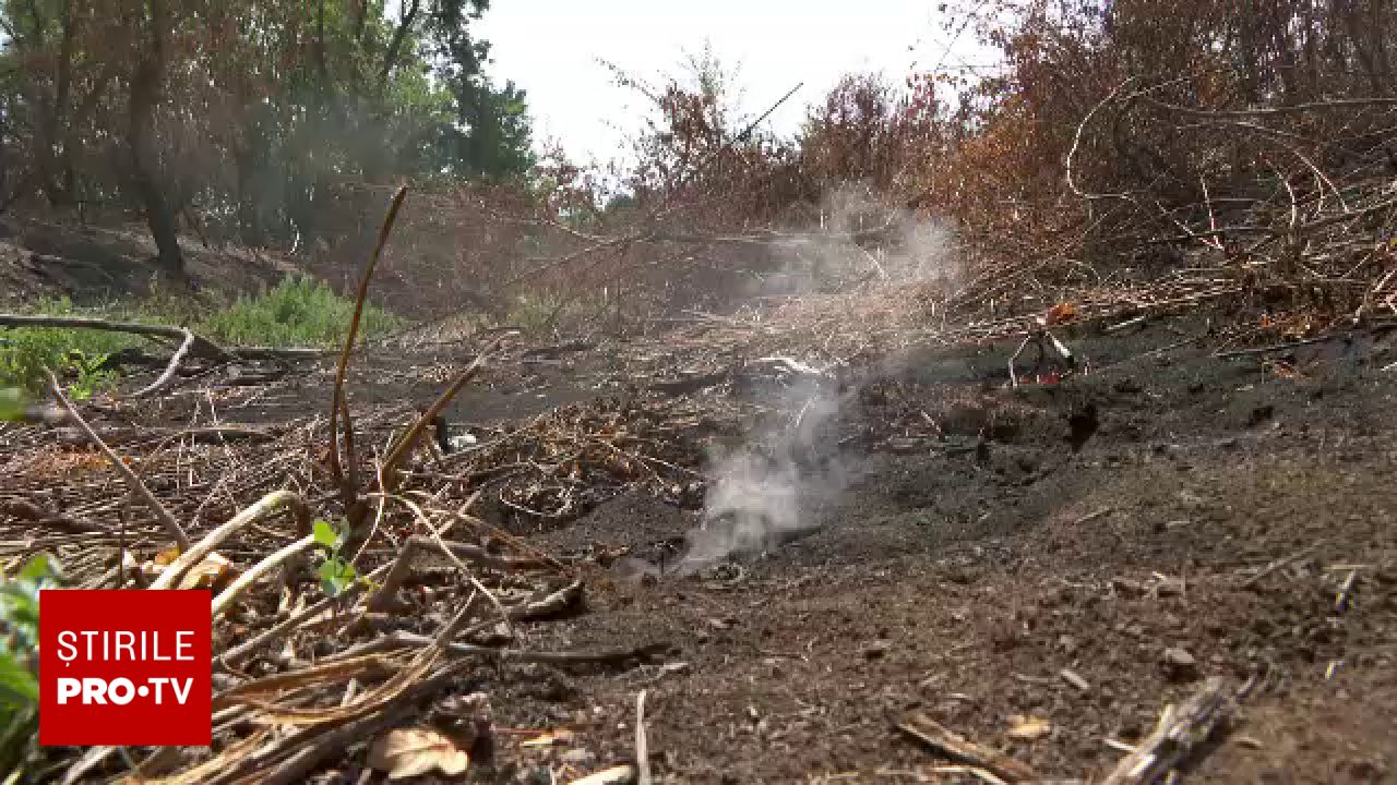 Incendiu subteran în Parcul Lunca Mureșului: Focul arde de aproape un an în Arad