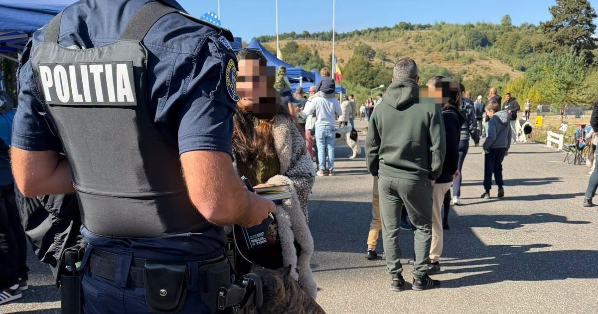 Șapte proprietari de câini sunt cercetați penal după ce animalele au fost mutilate la o expoziție de la Râșnov