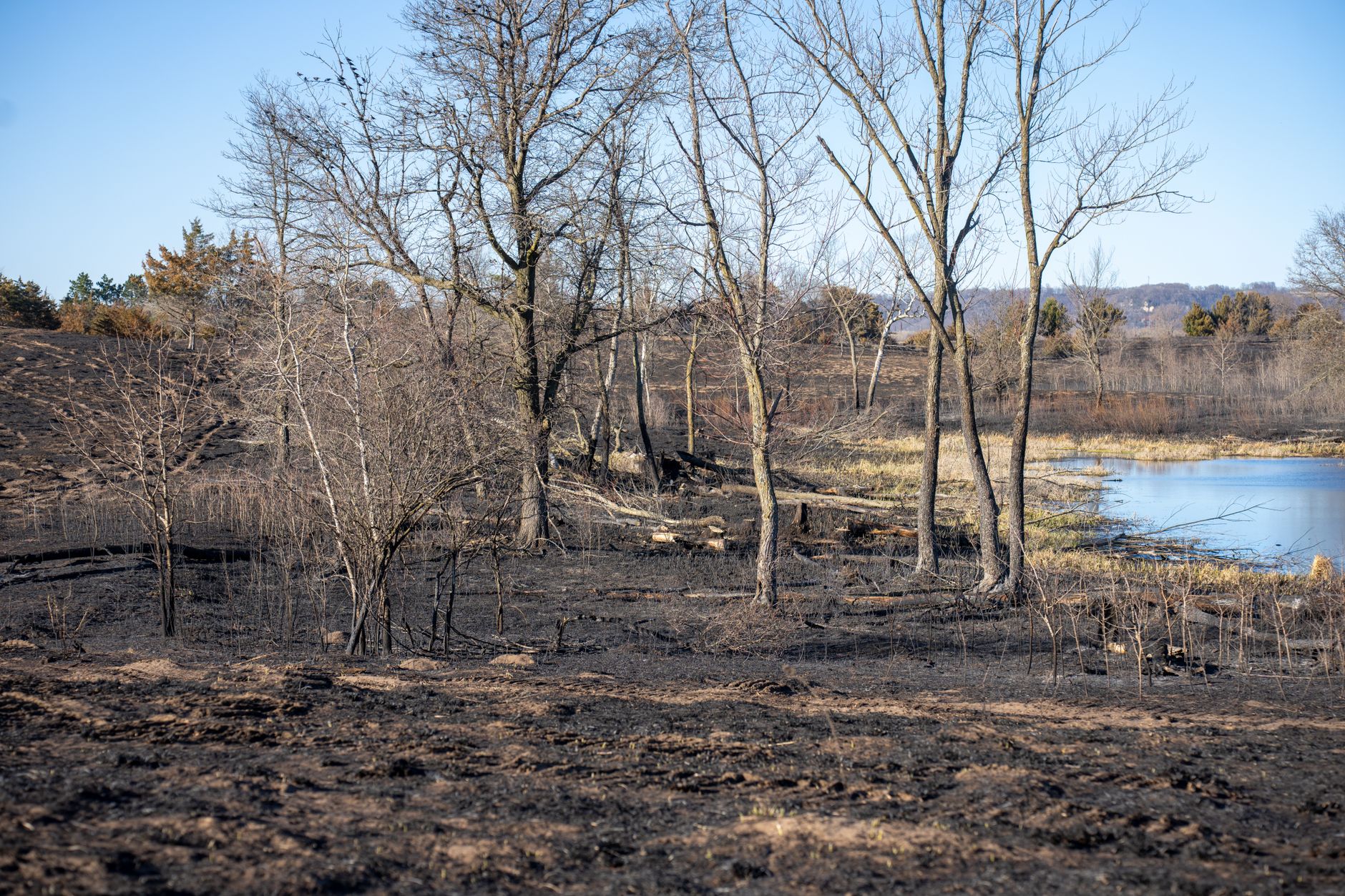 Fragmente ale unei posibile drone au fost găsite în Insula Mare a Brăilei, după un incendiu pe un teren agricol