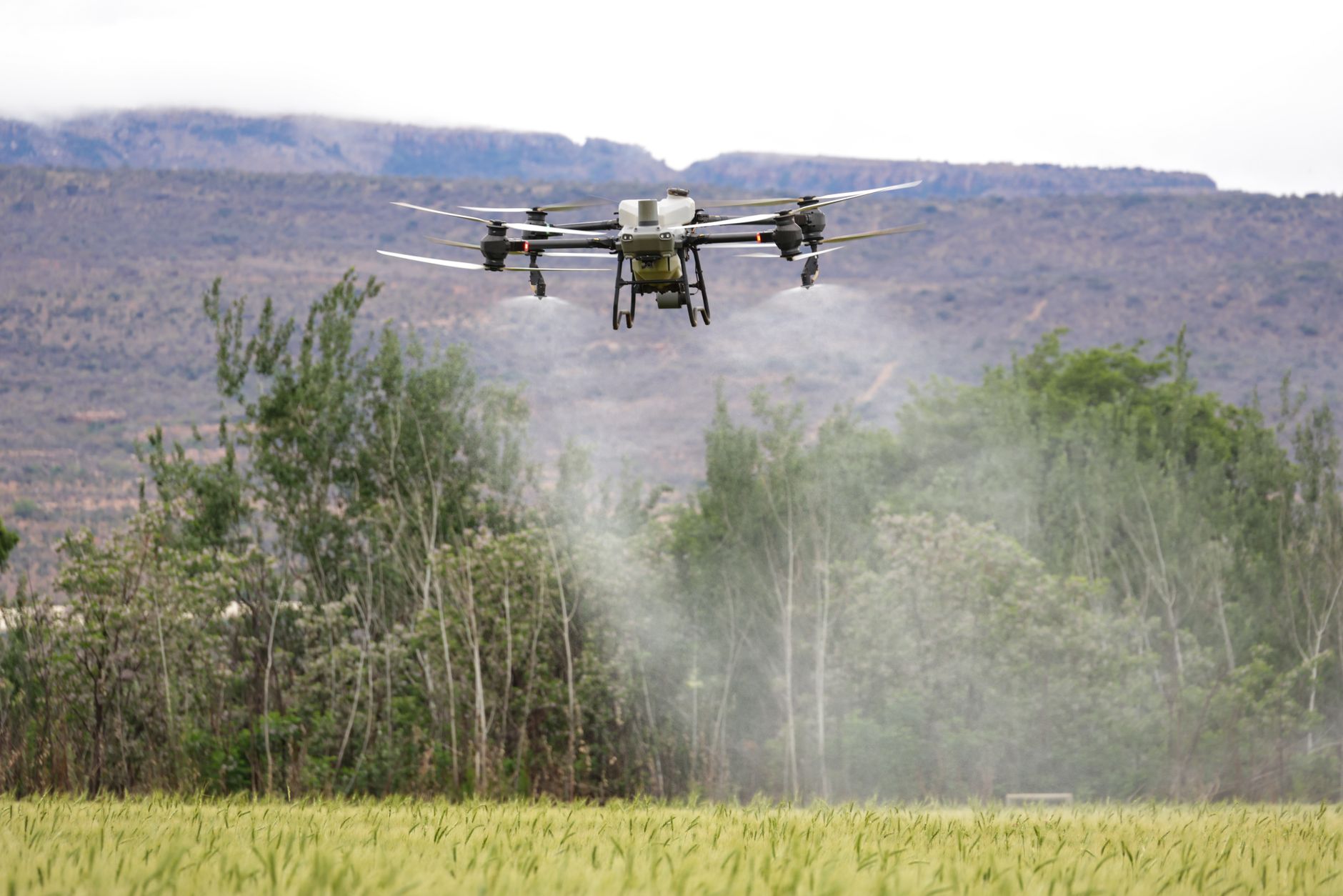 Dronă cu explozibil prăbușită lângă Brăila: Ministerul Apărării Naționale a oferit detalii