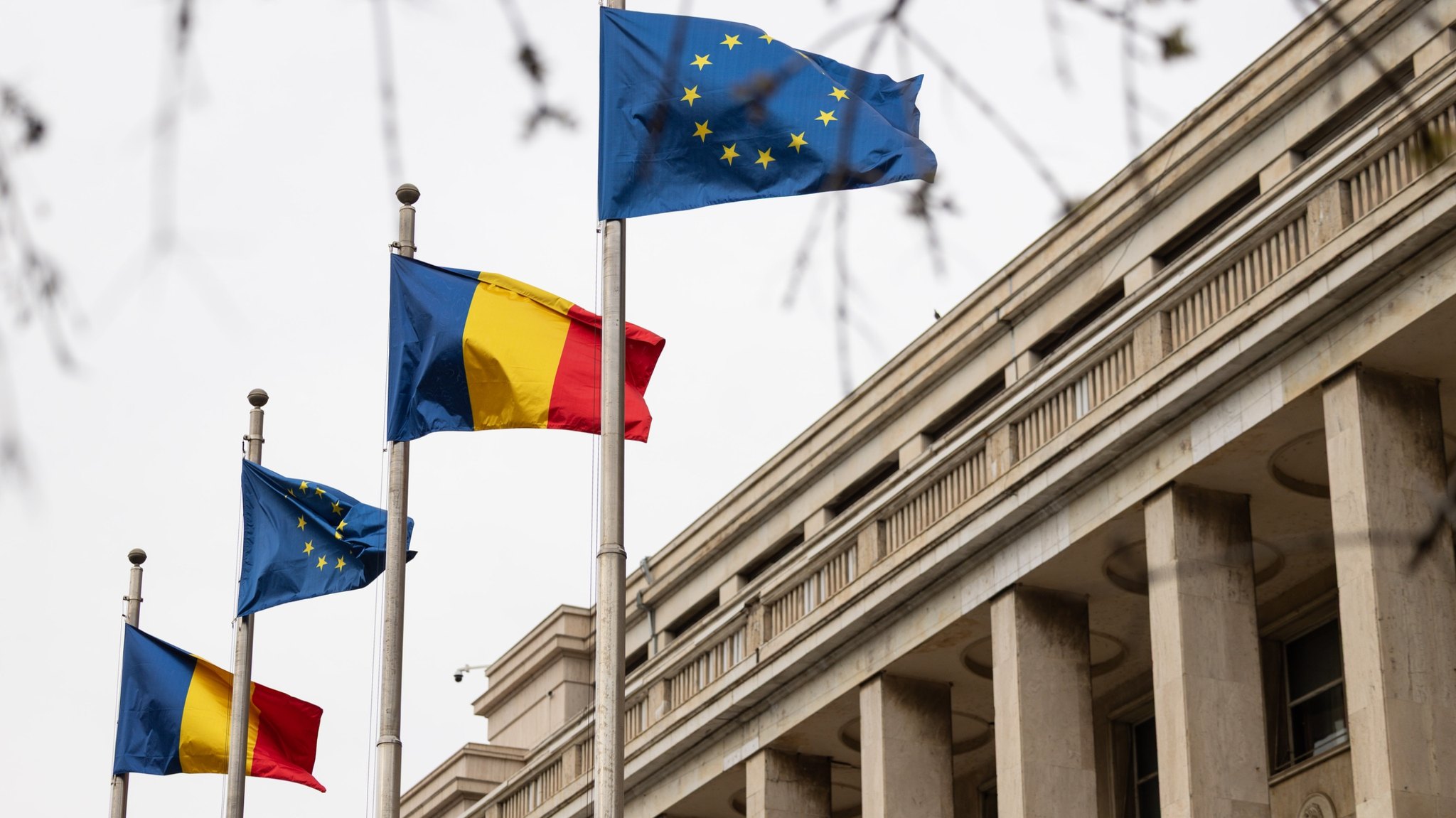 Protest masiv în Piața Victoriei: Fermierii și crescătorii de animale reclamă pierderile și lipsa despăgubirilor