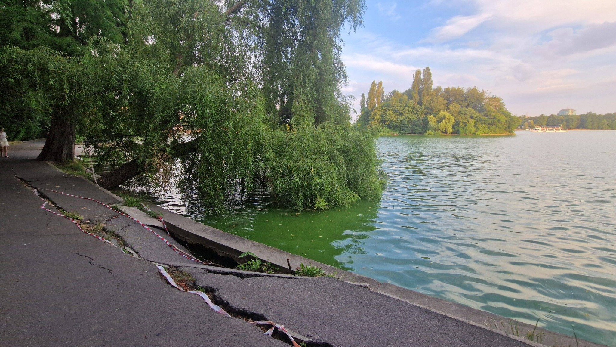 Primăria Capitalei modifică proiectul de reabilitare a malurilor Lacului Herăstrău pentru a proteja parcul