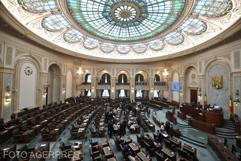 Senatul adoptă lege care permite oricărei persoane să sesizeze poliția pentru traficul de lucrări de diplomă