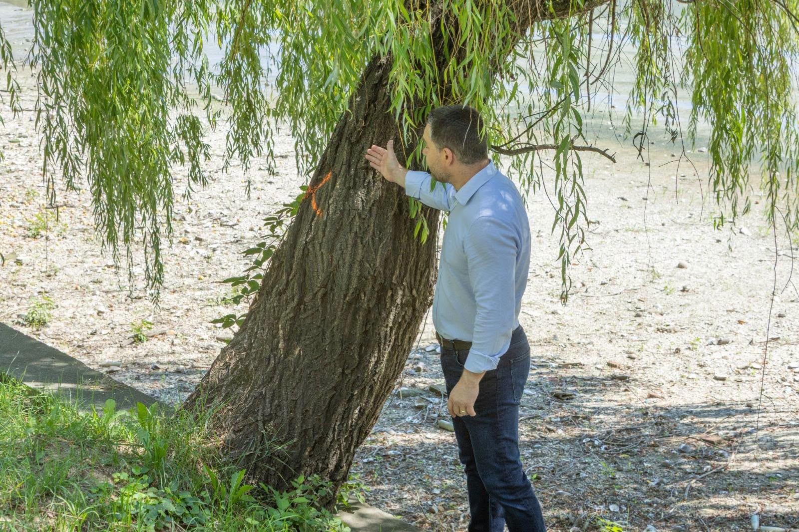 Lucrările de consolidare la Lacul Herăstrău au încetinit pentru modificarea proiectului tehnic