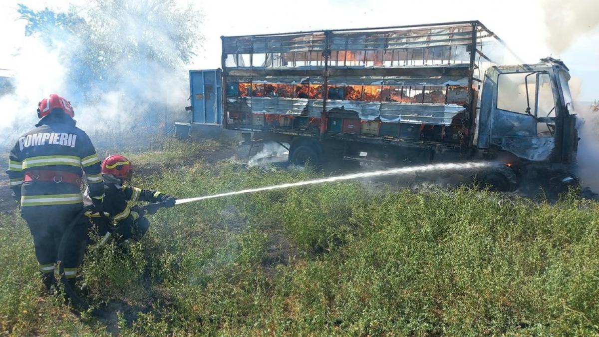 Incendiu violent în Argeș: Un autocamion încărcat cu stupi a ars complet, focul s-a extins la o combină agricolă