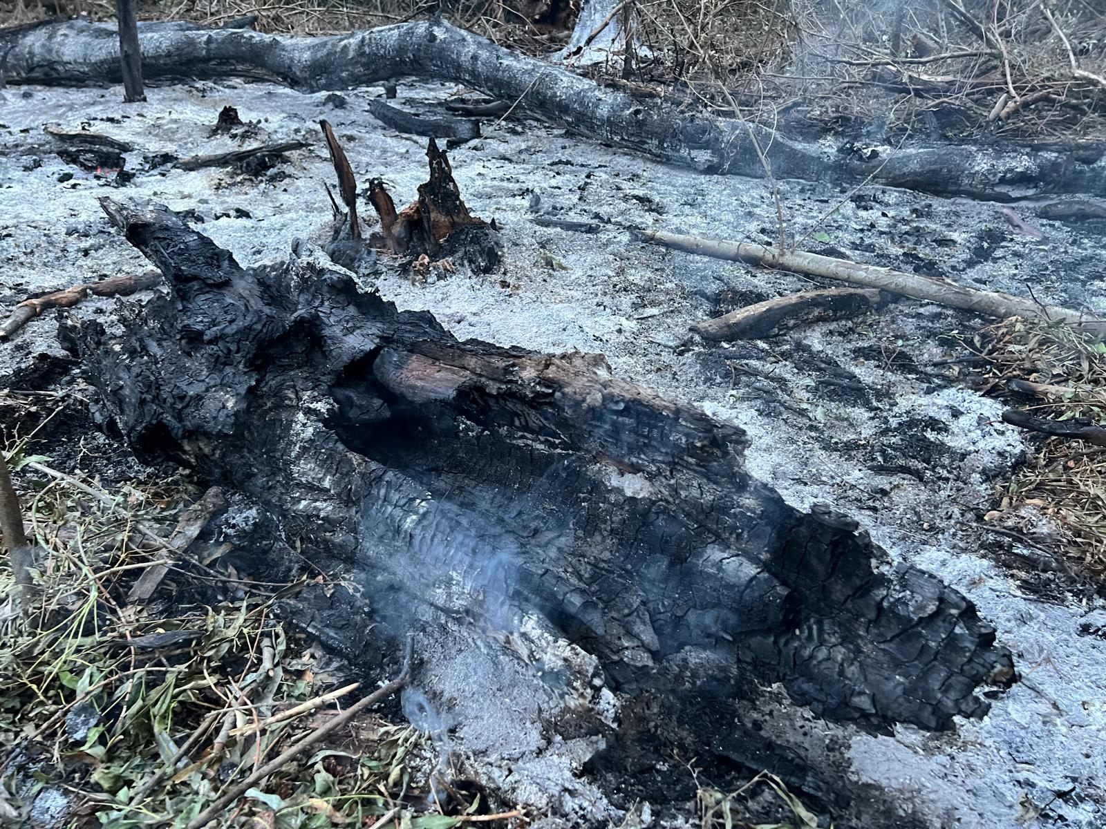 Incendiu în județul Tulcea după prăbușirea unui obiect, posibil o dronă, în zona localității Plauru