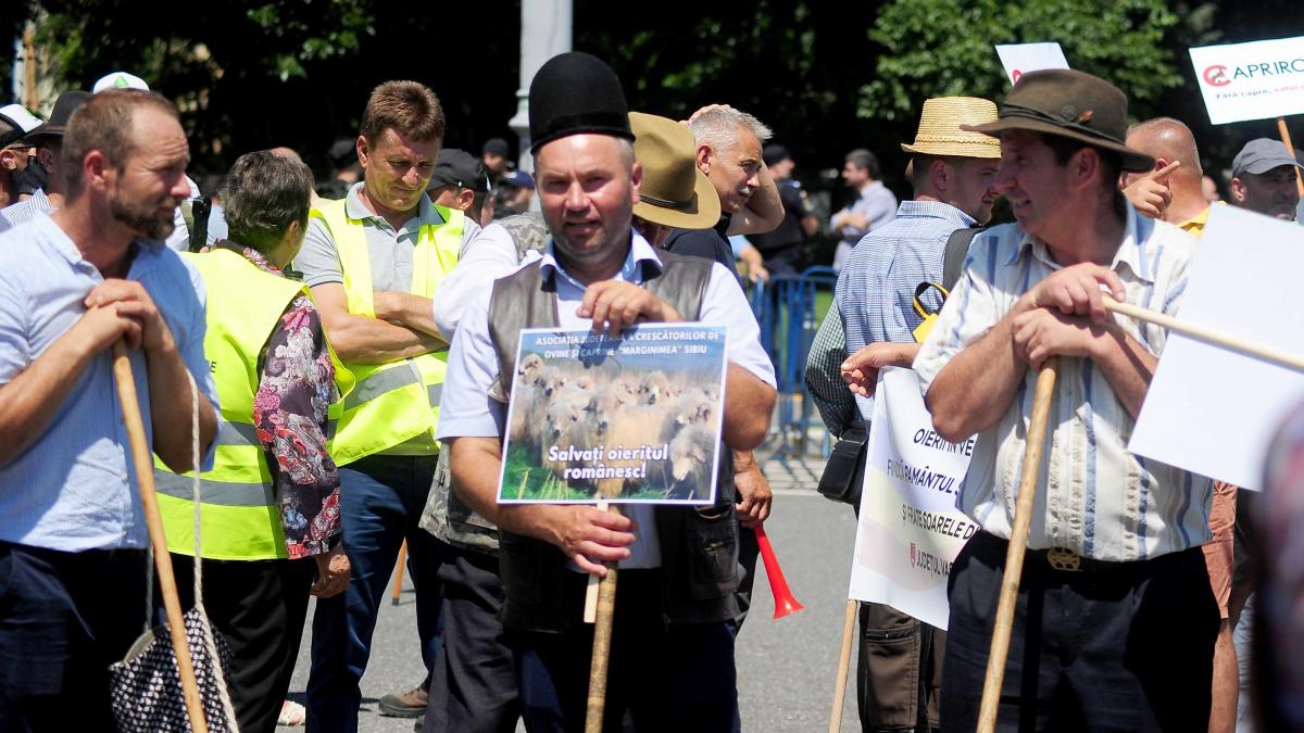 Protest masiv de fermieri în fața Guvernului: 200.000 de participanți sunt așteptați în București