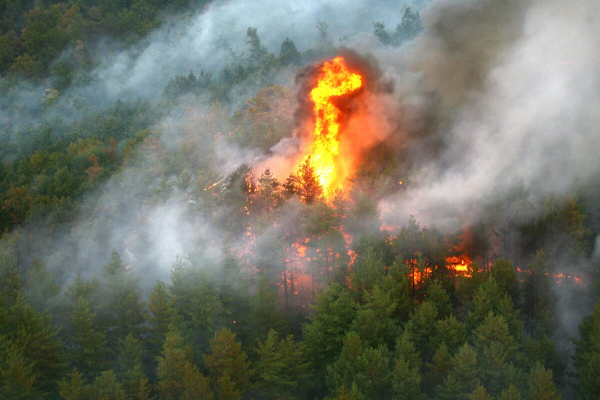 Plan de intervenție pentru incendiul din Parcul Național Retezat, în zona Valea Buta