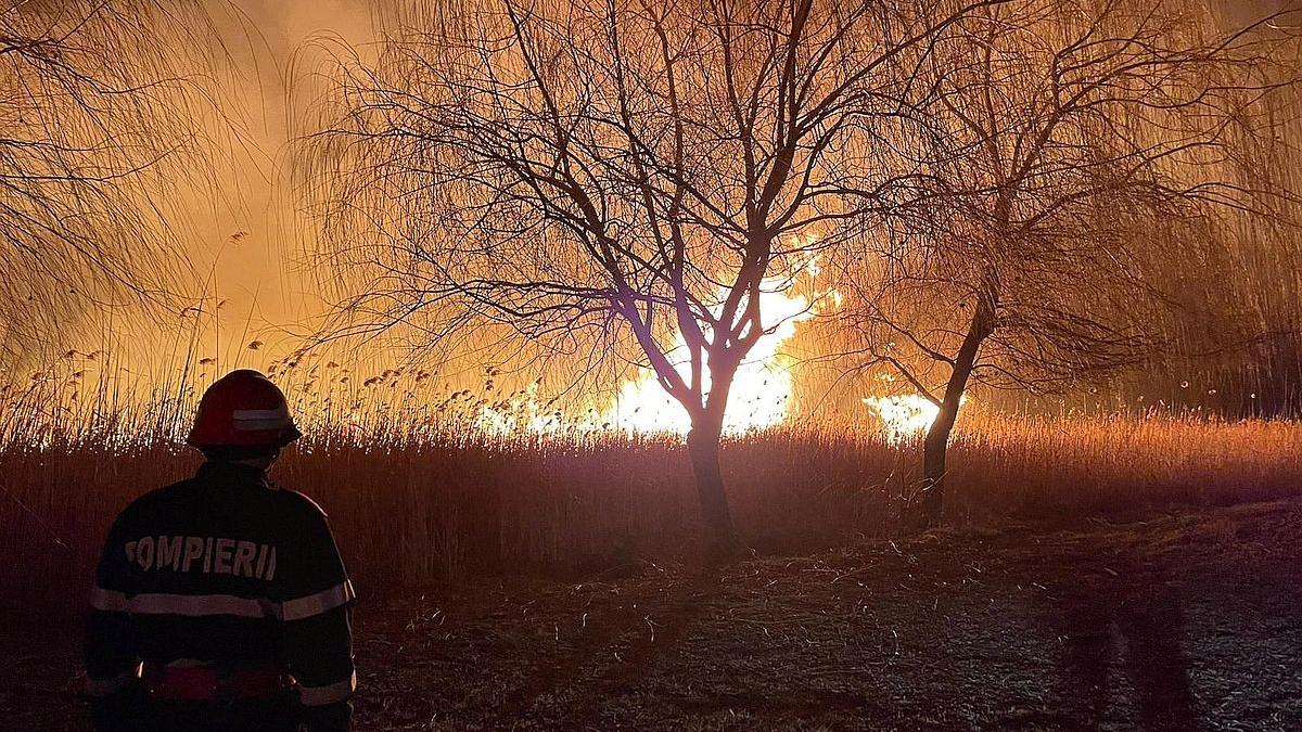 Val de incendii de vegetație în județul Timiș: 7 focare în 24 de ore și peste 44 de hectare arse