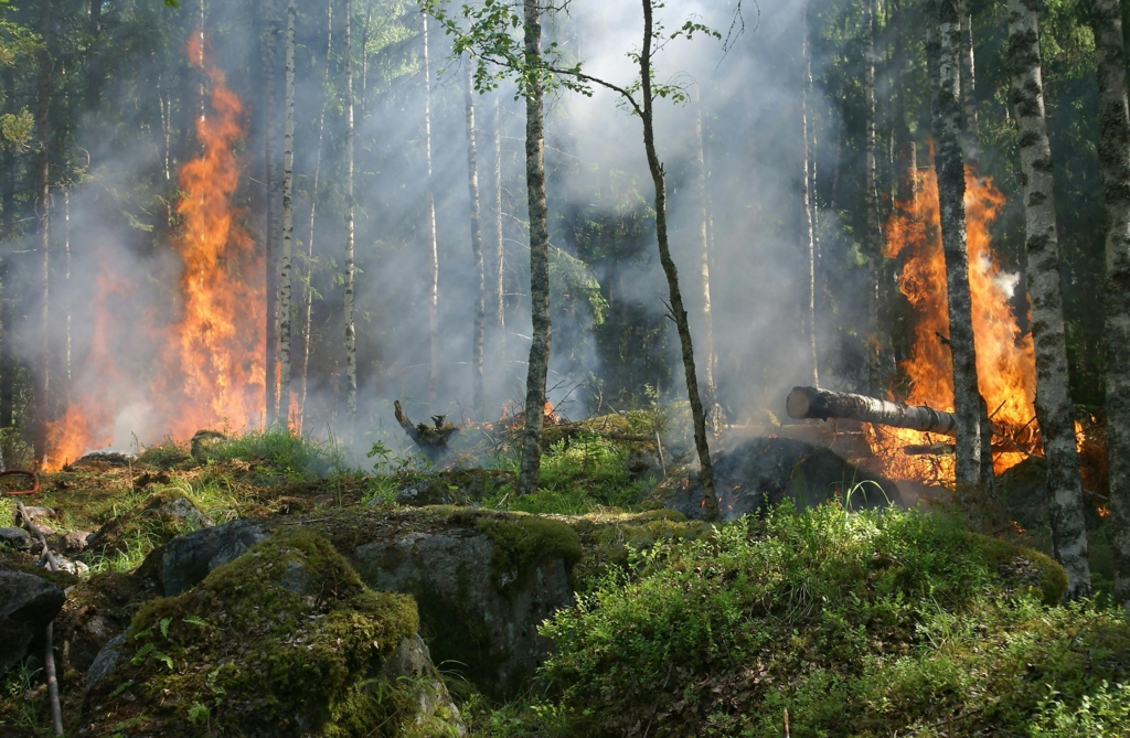 Operațiuni dificile în masivul Retezat pentru stingerea incendiului de fond forestier din zona Cheile Buții