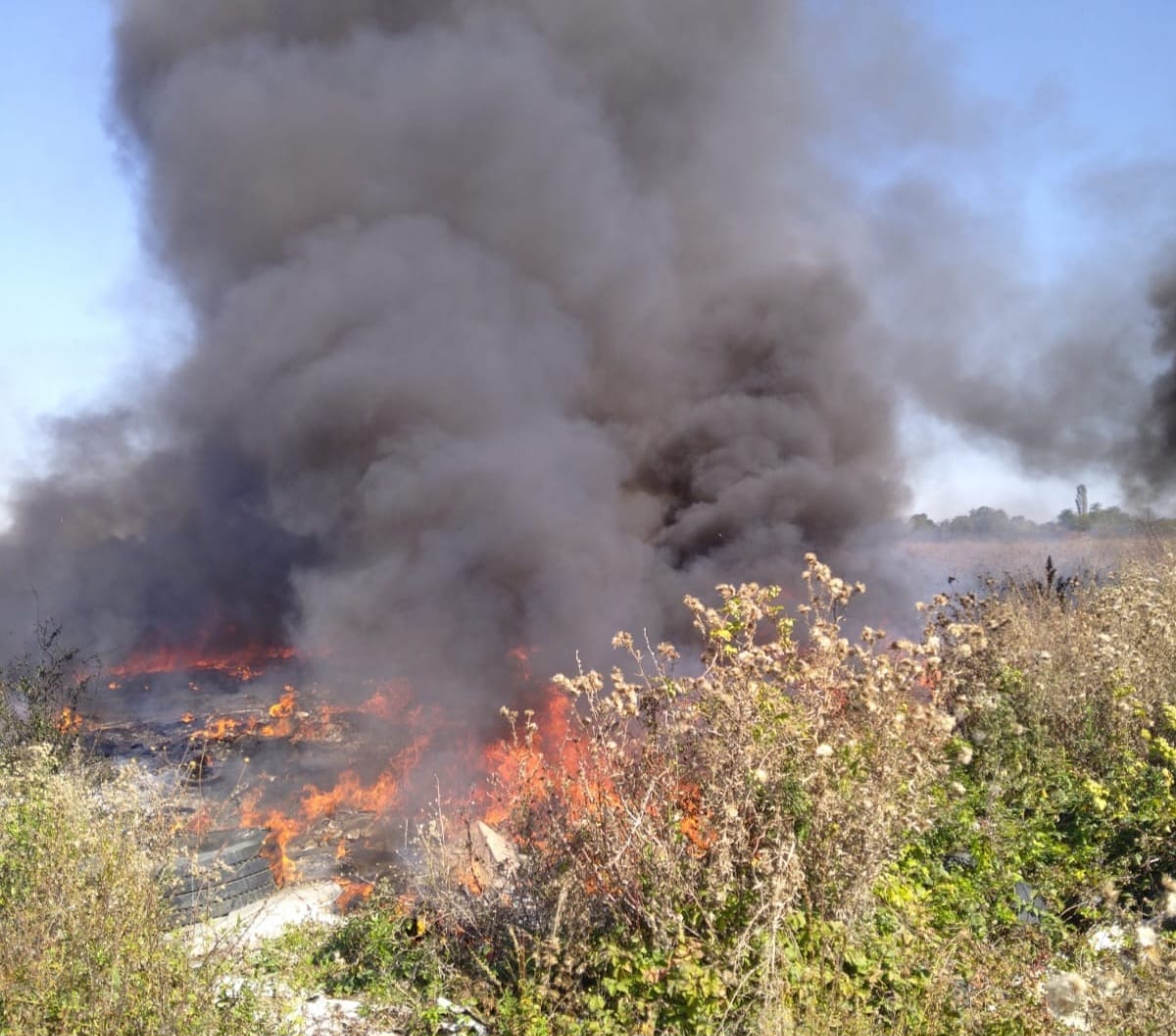 Incendiu de vegetație și deșeuri în localitatea Bălteni, județul Dâmbovița. A fost emis alertă RO-Alert