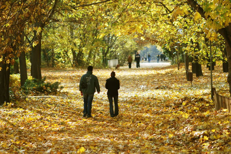 Temperaturi neobișnuit de ridicate în România: pot ajunge la 28 de grade în sudul țării