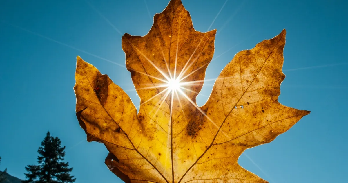 Prognoza meteo pentru România: temperaturi ridicate și ploi locale până la jumătatea lunii octombrie