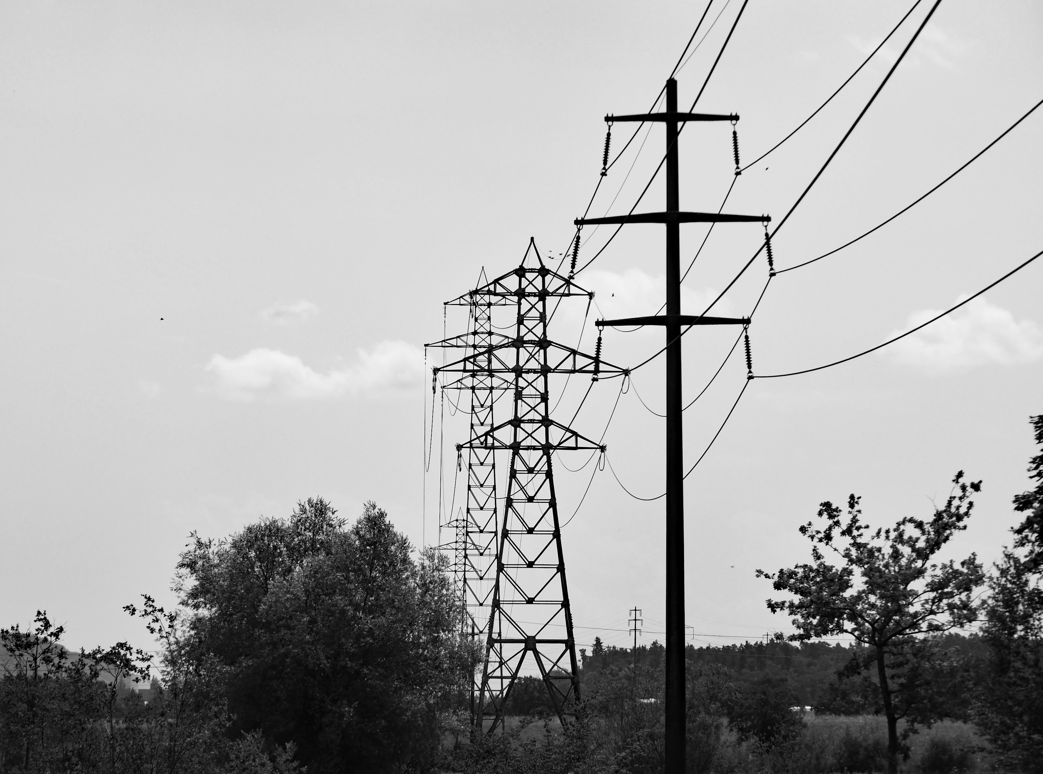 Ambițiile europene în domeniul inteligenței artificiale sunt amenințate de limitările rețelelor electrice
