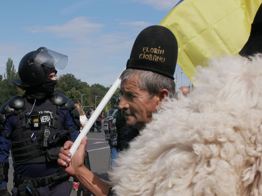Violente în Piața Victoriei: Mii de crescători de animale au protestat împotriva restricțiilor de export
