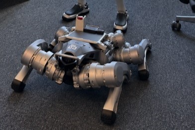 Asirom și Safety Broker asigură pentru prima dată pe piața din România un robot umanoid și un câine-robot