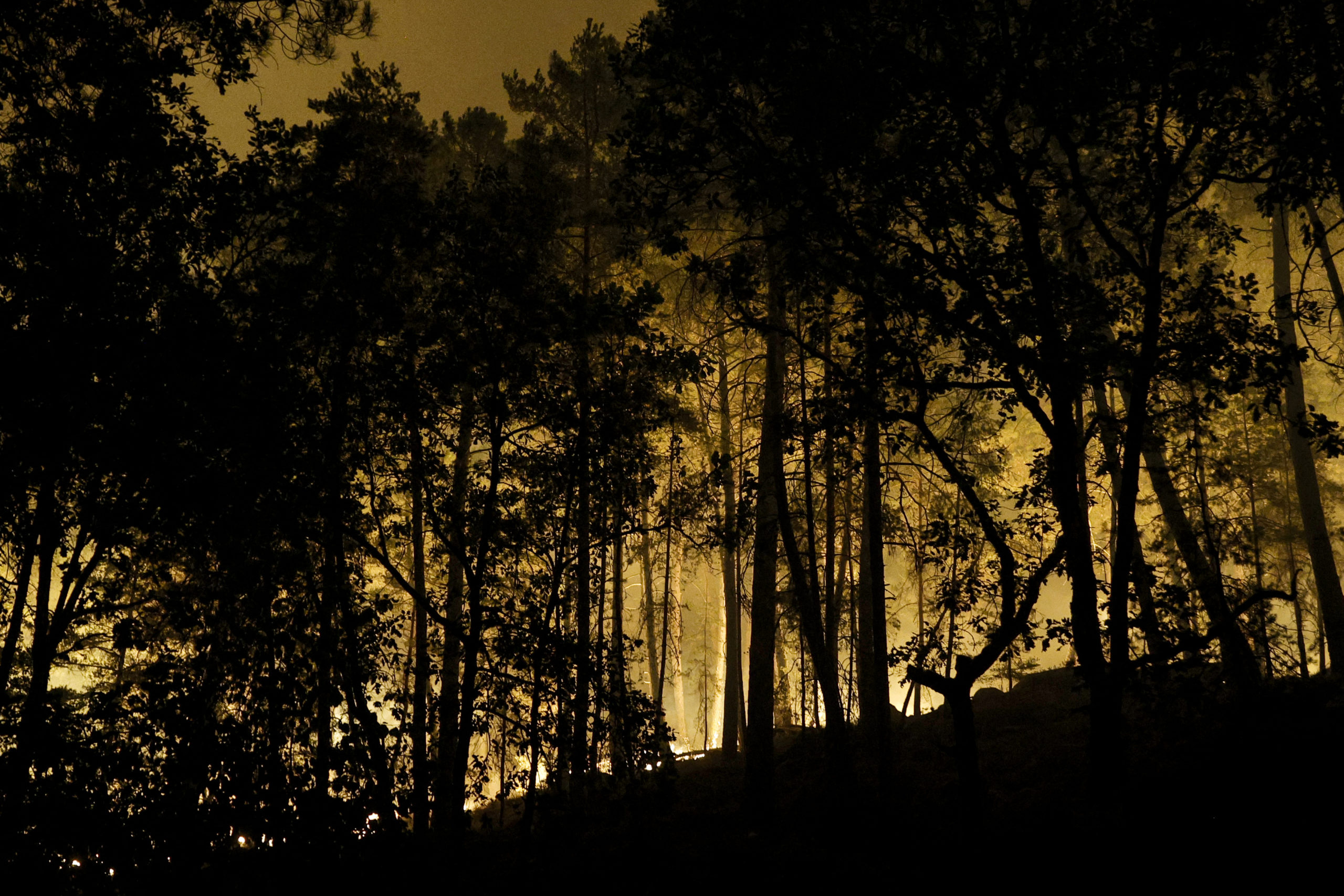 Incendiul masiv din Munții Rodopi continuă să ardă, afectând Bulgaria și Grecia