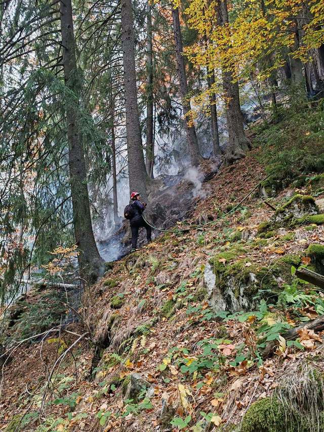 Incendiul din Parcul Național Retezat continuă de peste două săptămâni în zona Cheile Buții