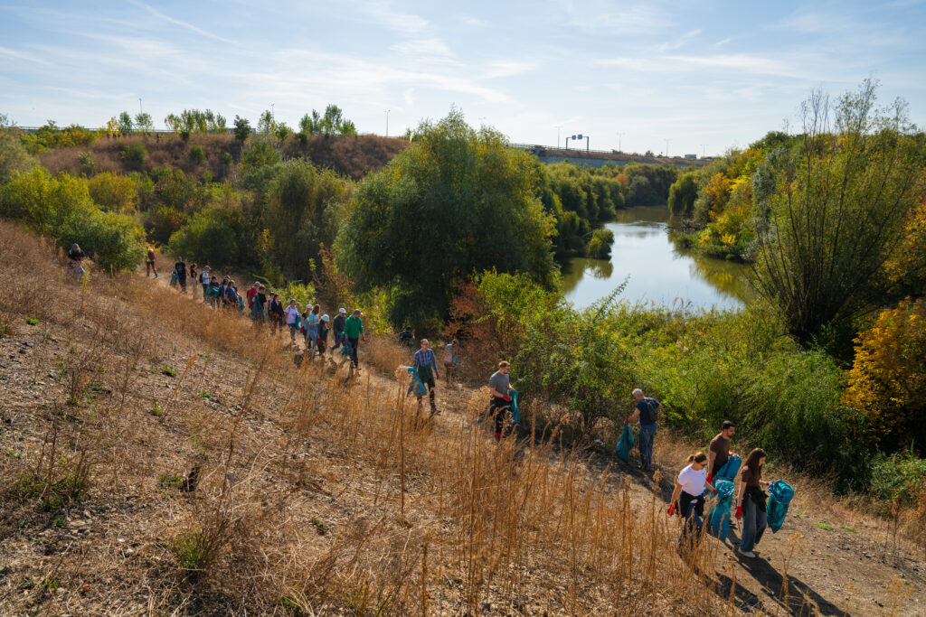 Valea Saulei poate deveni a treia arie naturală protejată din București
