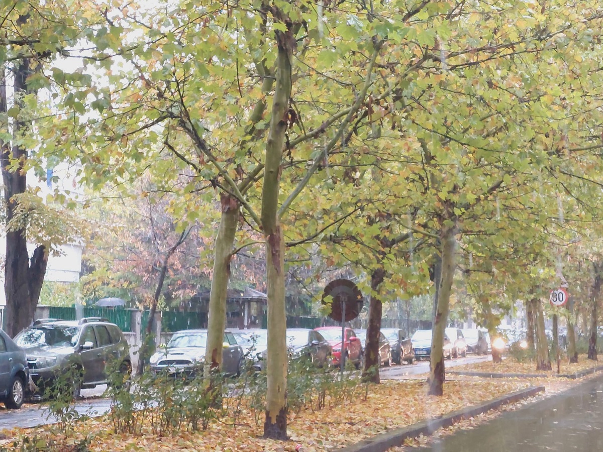 Cod galben de ploi abundente în sudul țării și temperaturi în scădere în București