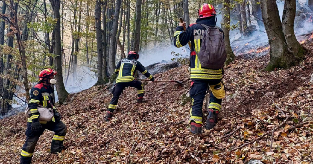 Intervenții masive pentru stingerea incendiilor din Parcul Național Domogled și în județul Vâlcea
