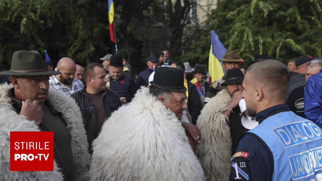 România depune un plan la Bruxelles pentru deblocarea exporturilor de oi și capre suspendate