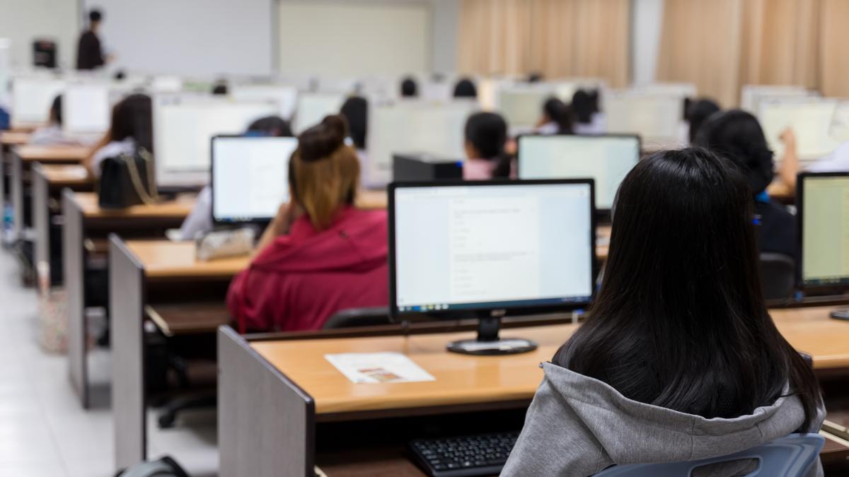 Universitățile traversează o criză de identitate, avertizează prof. Liviu Papadima