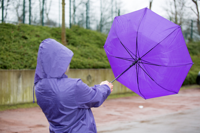 Avertismente meteorologice: Cod galben pentru vânt și precipitații mixte la munte până vineri